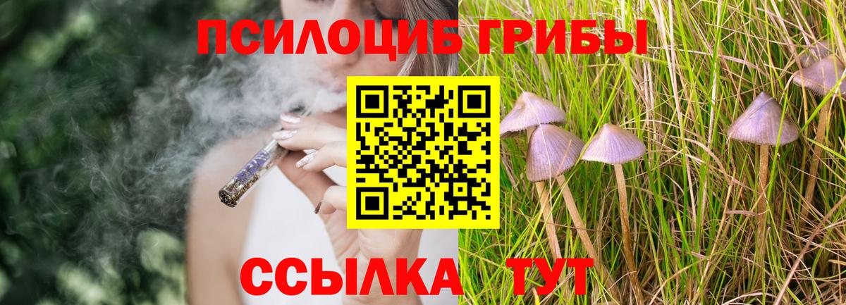 Псилоцибиновые грибы мицелий Междуреченск