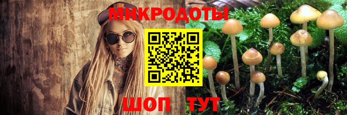 Междуреченск  Галлюциногенные грибы GOLDEN TEACHER  Вход с VPN 